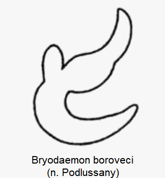 BRYODAEMON BOROVECI