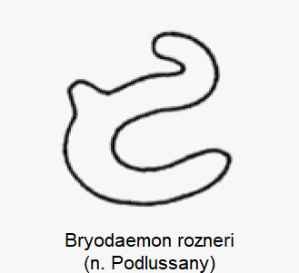 BRYODAEMON ROZNERI